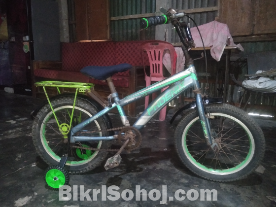 ১৬ নাম্বার সাইকেল